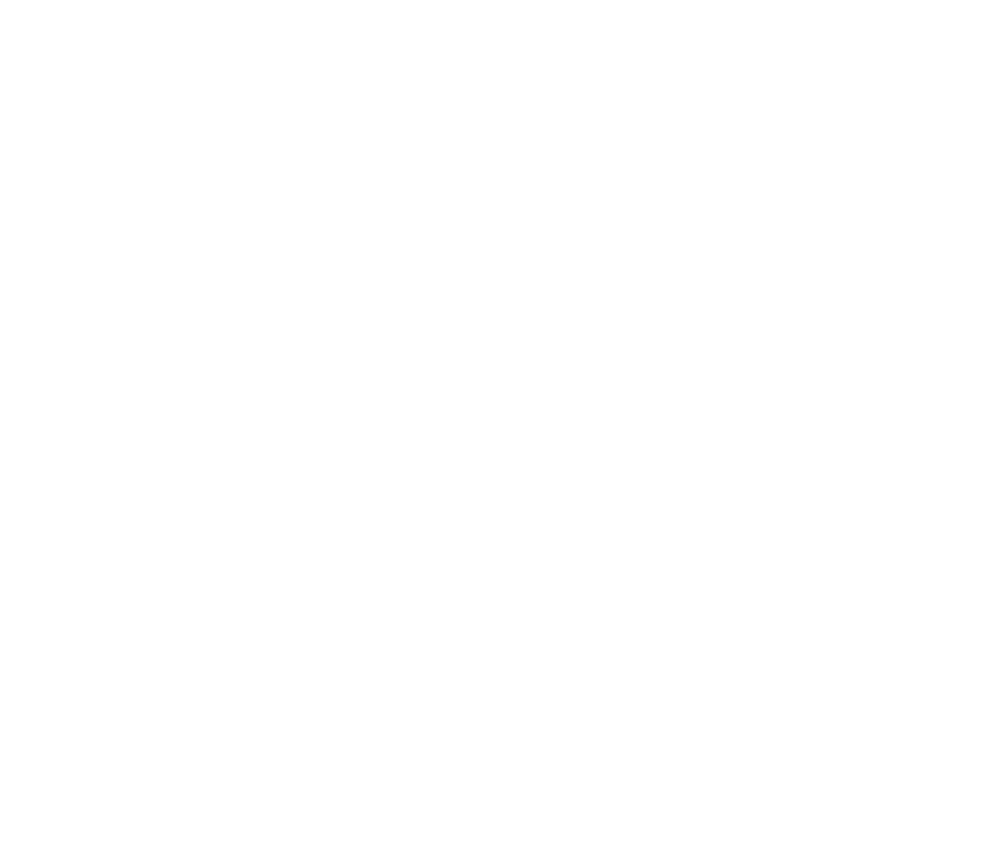CRMNEXT logo