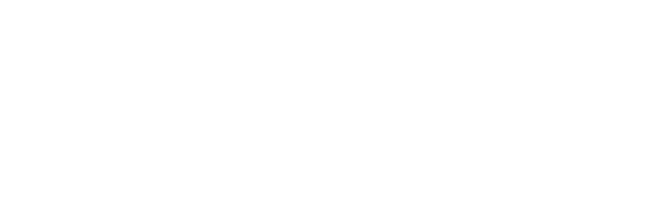 Next League logo