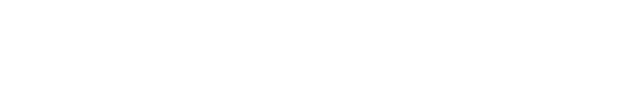 First National Realty Partners logo