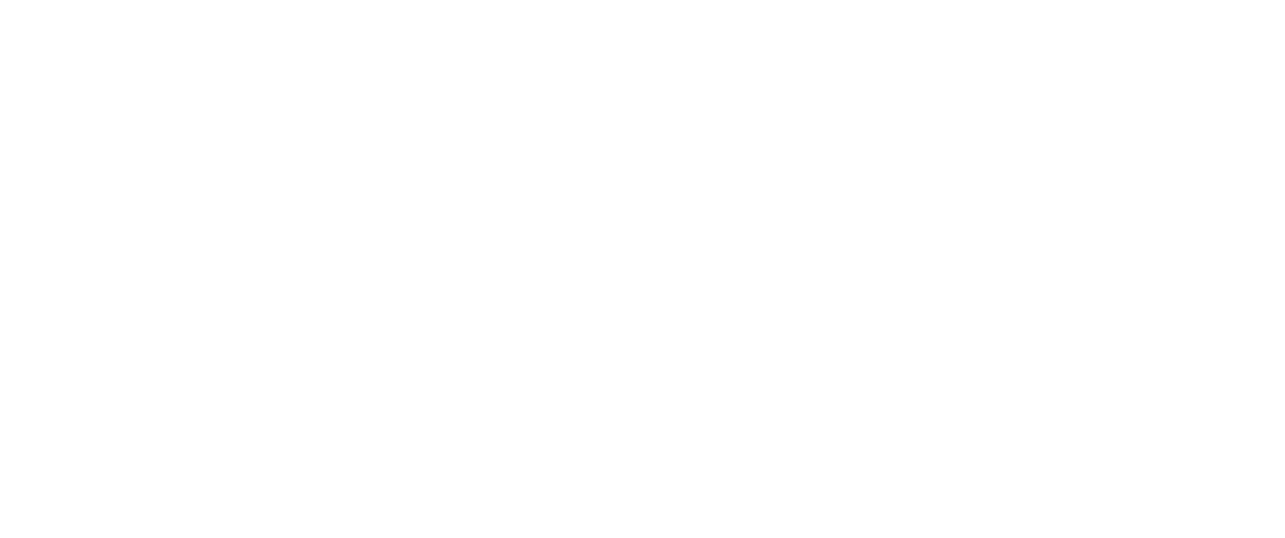 SITIX by Sports Illustrated logo